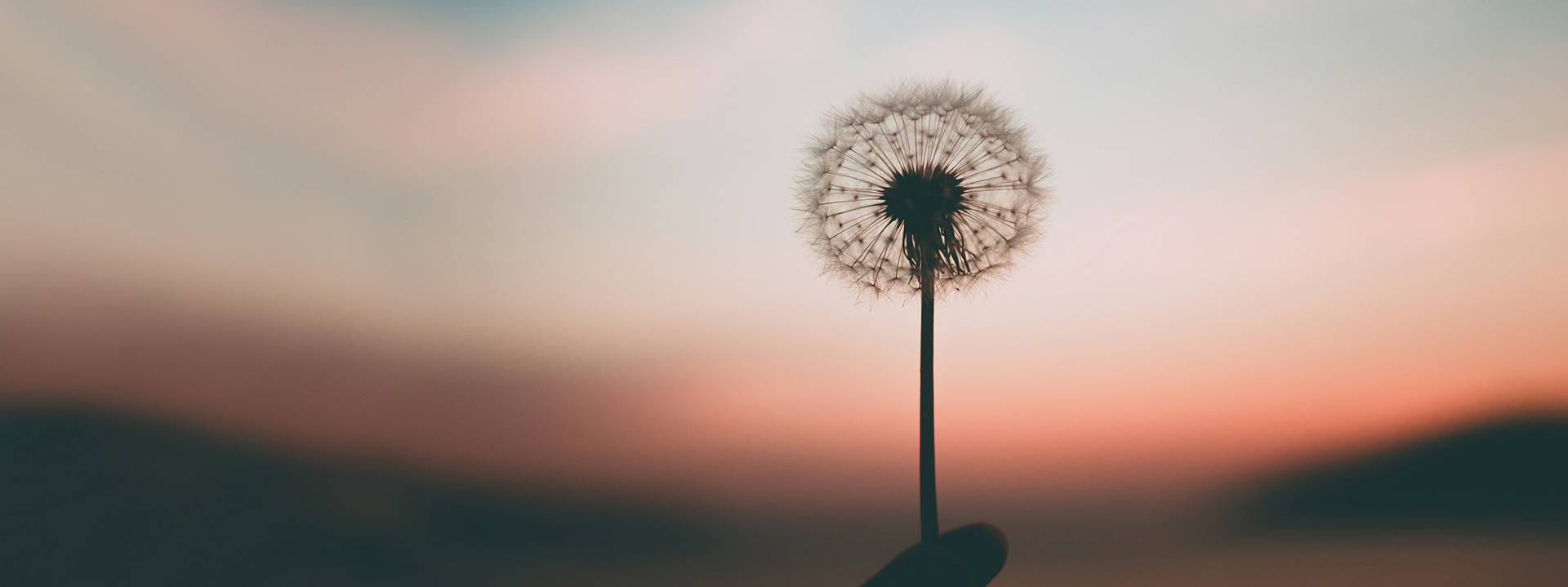 Burner manufacturer social responsibility